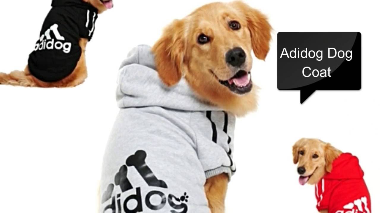 10 cool products for your pet cat or dog on aliexpress 2016