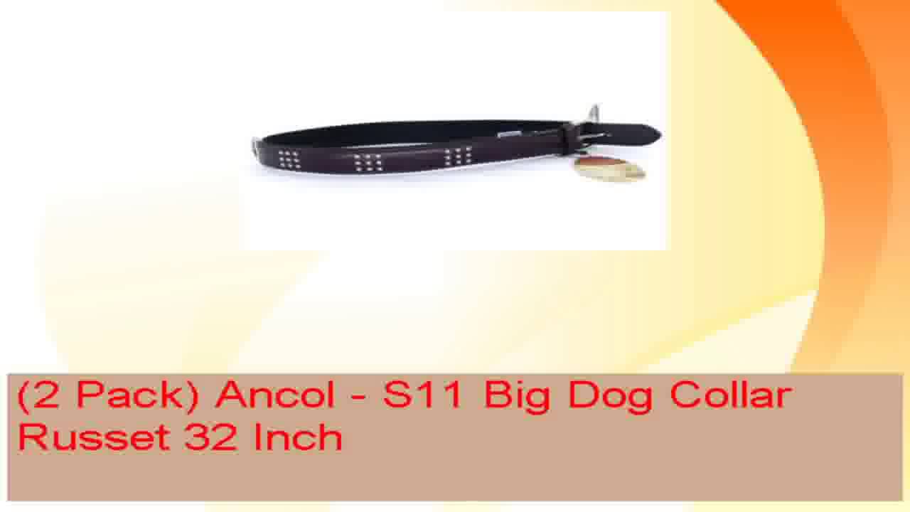 2 Pack Ancol  S11 Big Dog Collar Russet 32 Inch