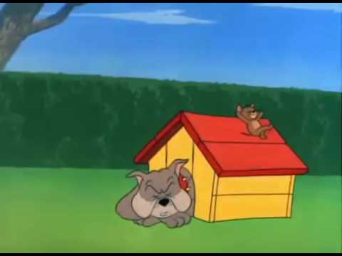 2016 #Tom and Jerry   The Dog House