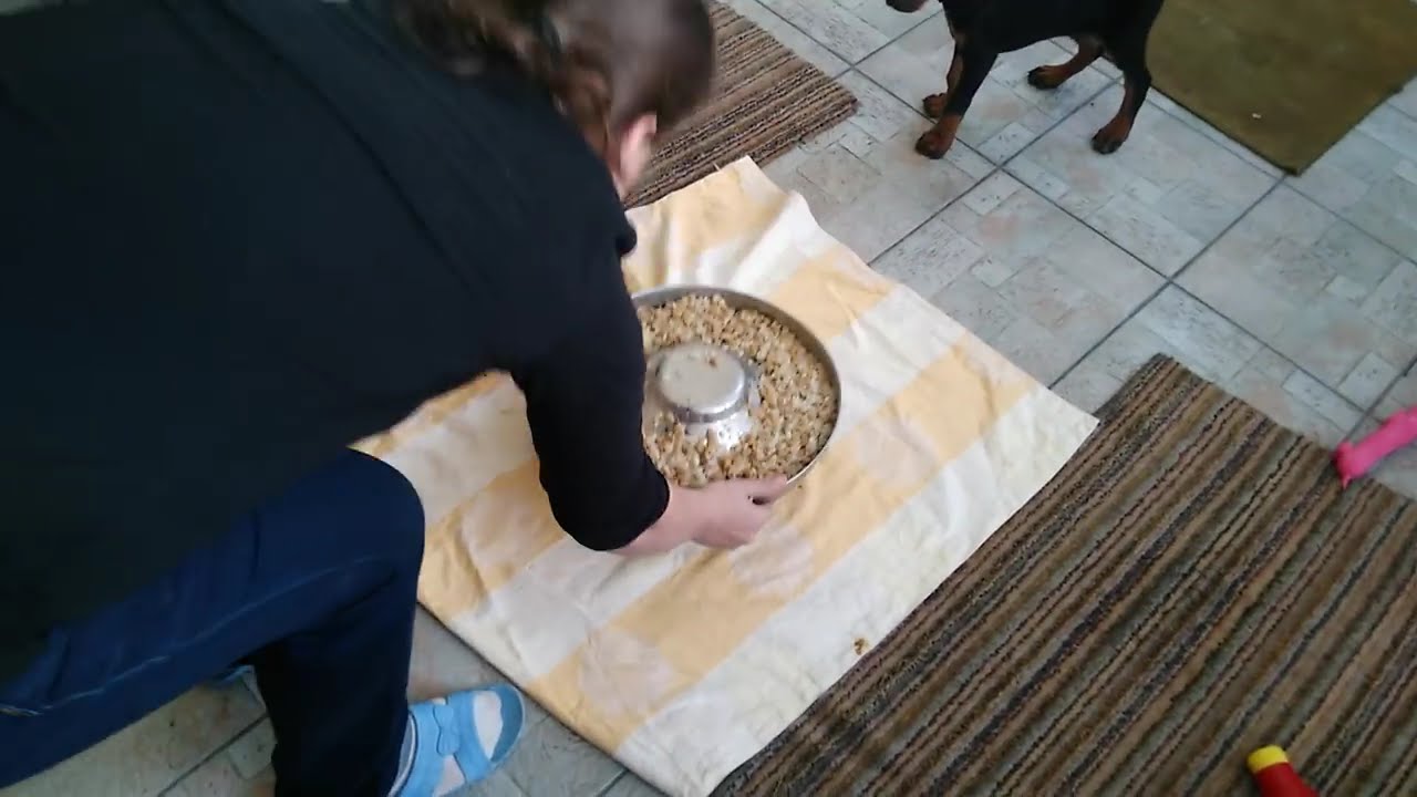 A Revolution in Dog Food