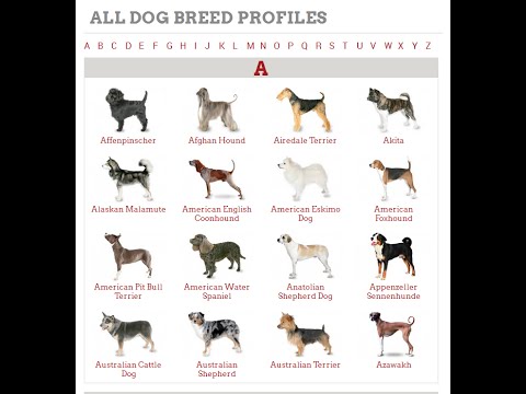 All Dog Breed Profiles – 2017
