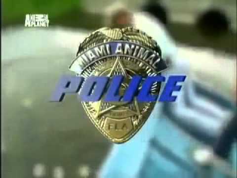 Animal Cops Miami Cardboard Dog House [ Watch Full ]