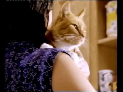 Asda advert for dog & cat food