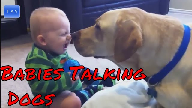 Babies Talking With Dogs – Cute Dog Pics – Cute Dog Pictures – Small Dog Breeds