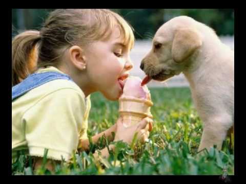 biggest dog training