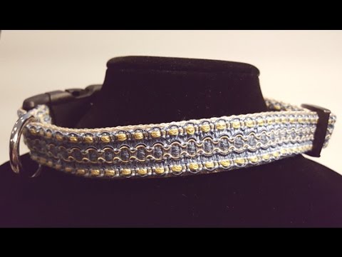Braided Trim Unique Dog Collar