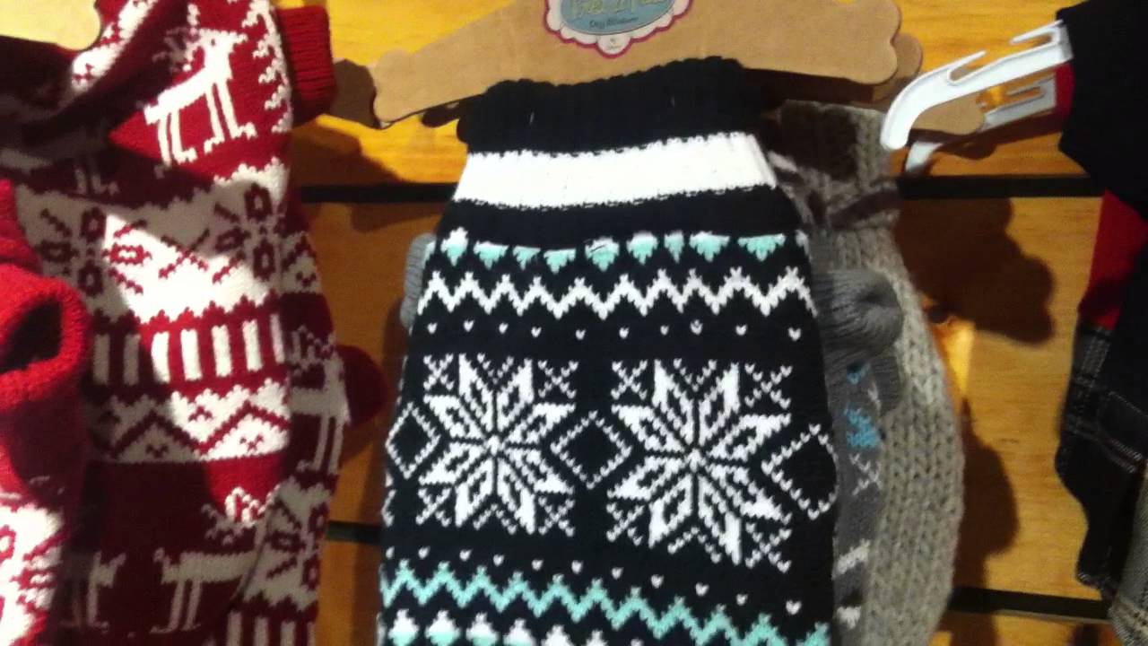 Chilly Dog Clothing