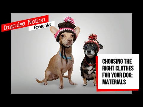Choosing the Right Clothes for Your Dog: Materials