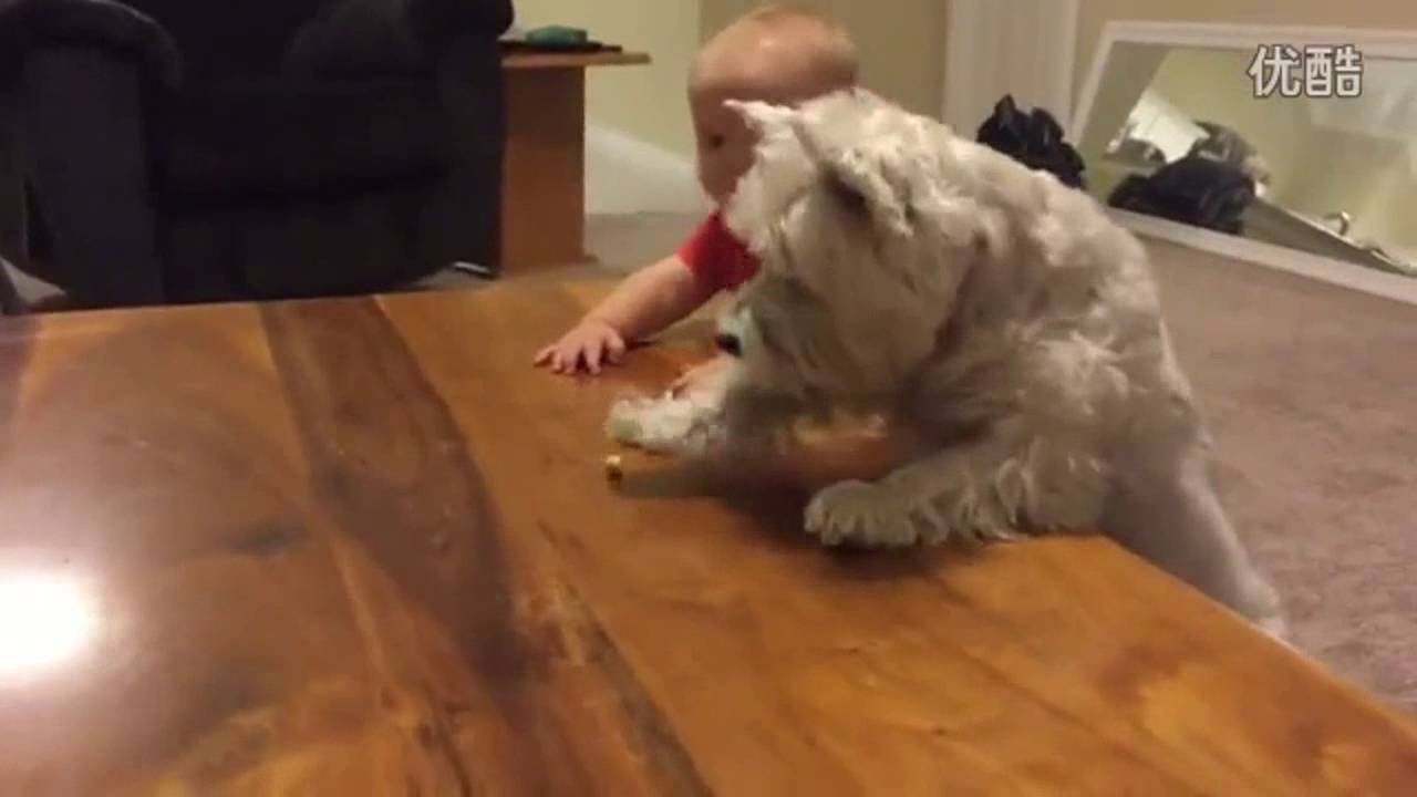 climax small short legged master Wang to get help to eat