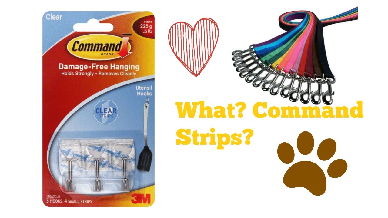 Command Strip Dog Leash And Collar Organizer! DIY