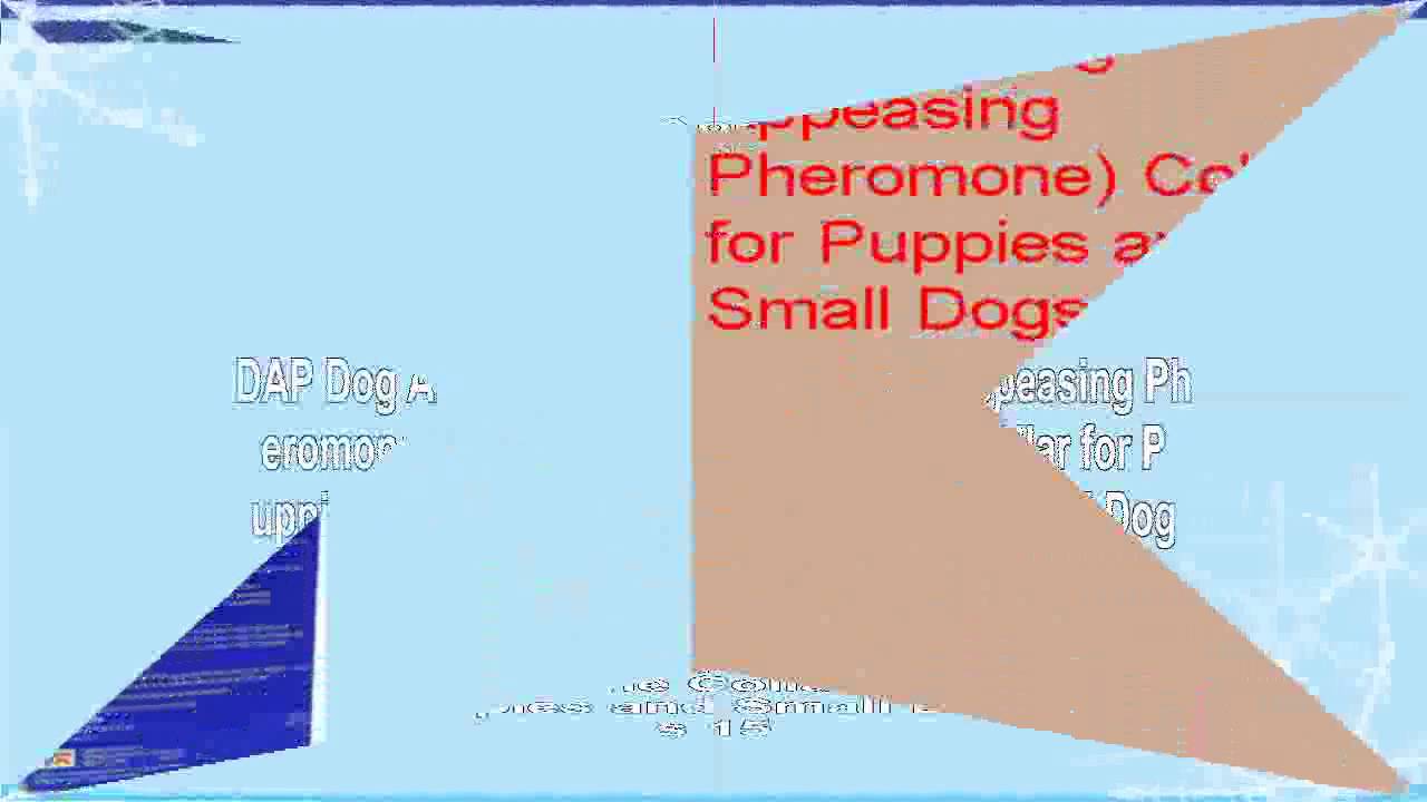 DAP Dog Appeasing Pheromone Collar for Puppies and Small Dogs  15