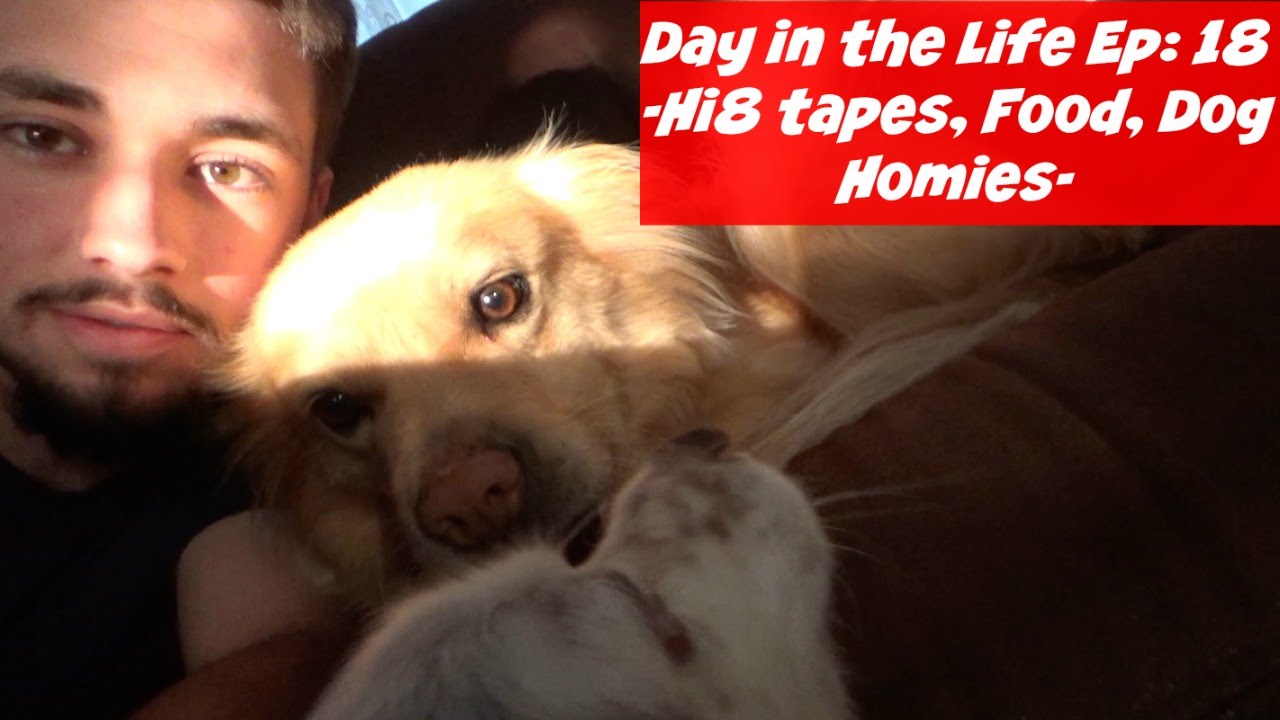 Day in the Life Ep: 18 (Hi8 tapes, Food, & Dog Homies)