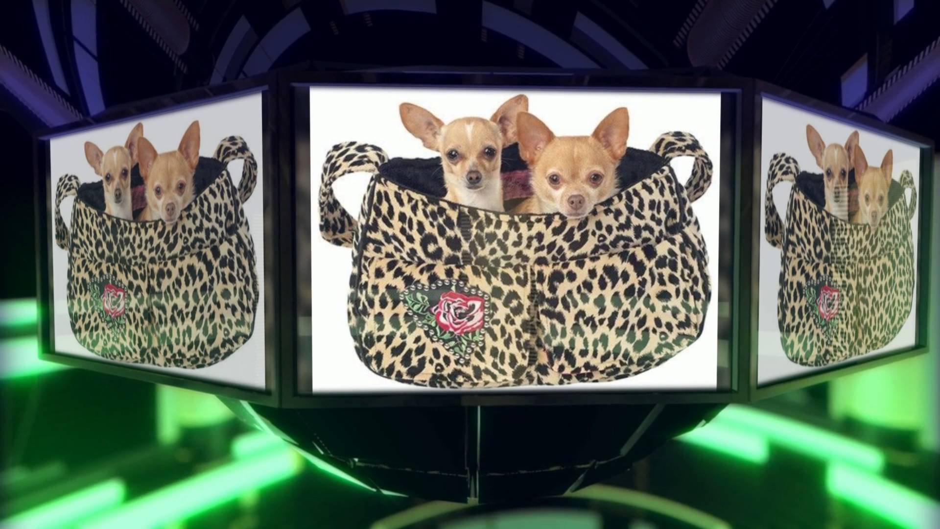 Designer Dog Clothes  Posh Pet Glamour Boutique 1080p1