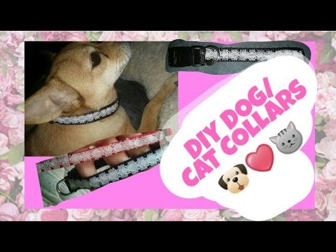 DIY DOG COLLAR!