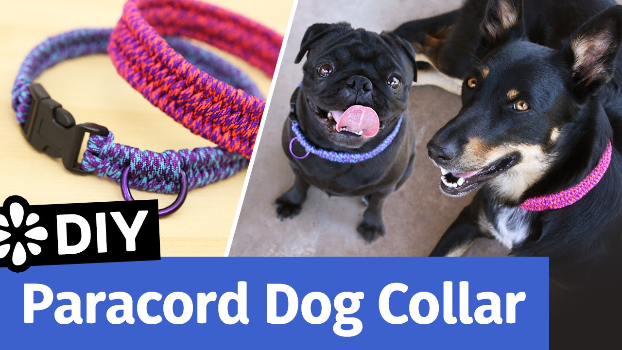 DIY Paracord Dog Collar | Small, Medium, Large Size | Sea Lemon