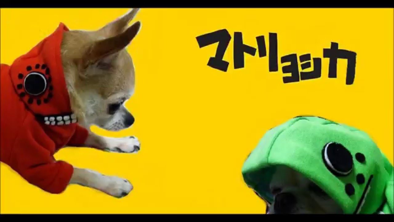 DIY♡How to make dog clothes COSPLAY “Matryoshka”vocaloid　miku hatsune GUMI　マトリョシカ　ボカロコスプレ犬服作ってみた