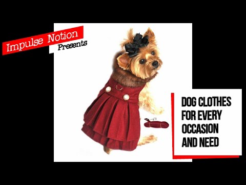 Dog Clothes for Every Occasion and Need