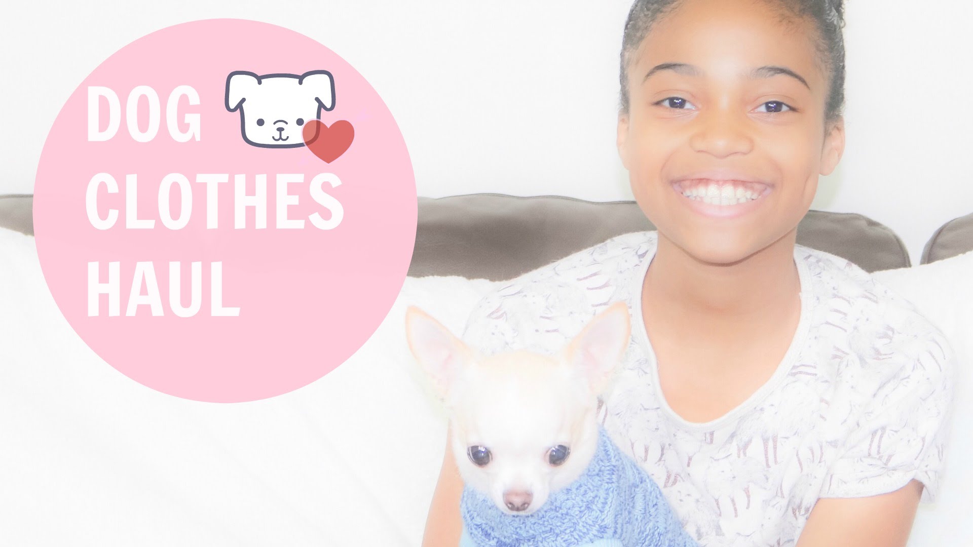 DOG CLOTHES HAUL W/ BMBI