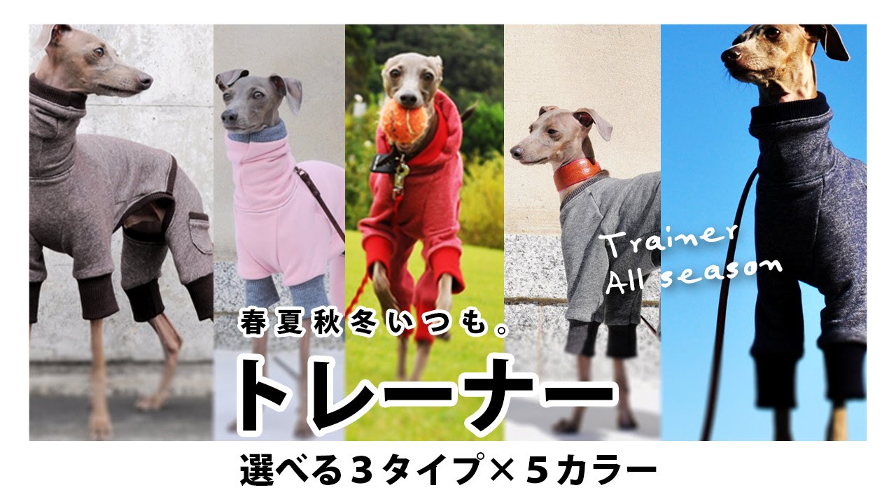 「春夏秋冬いつも。トレーナー」Dog Clothes Trainer