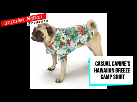 Dog Clothing Review: Casual Canine Hawaiian Breeze Camp Shirt