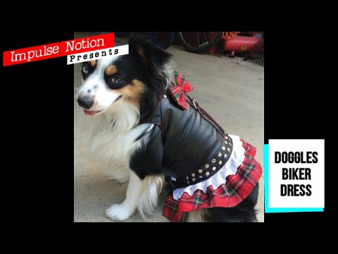 Dog Clothing Review: Doggles Biker Dress