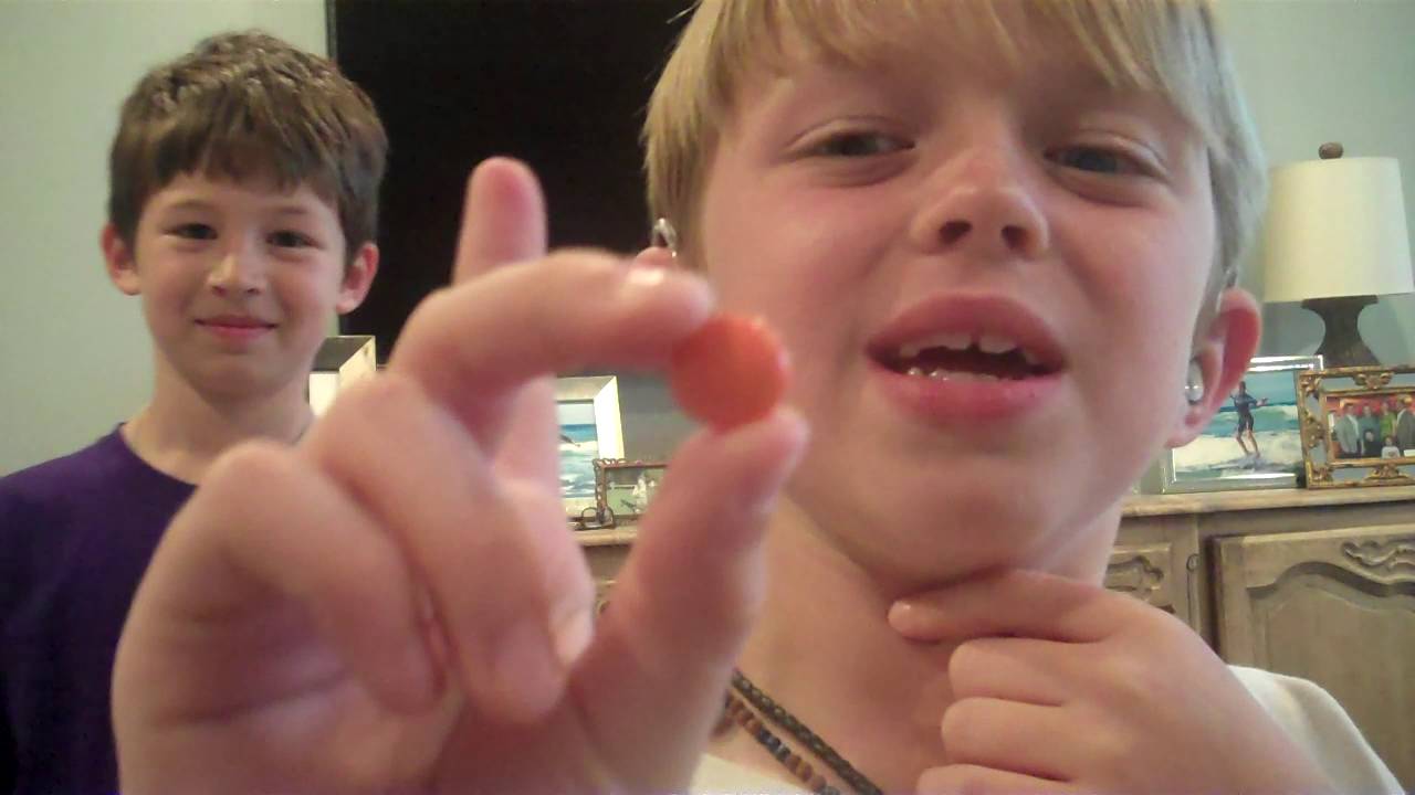 Dog Food Eating Challenge!!! MUST WATCH