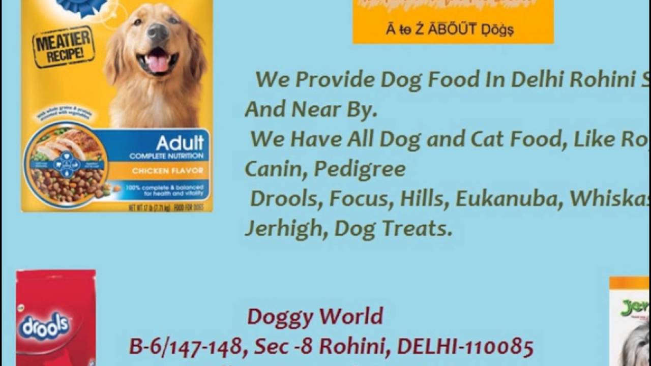 Dog Food Shop in Delhi NCR