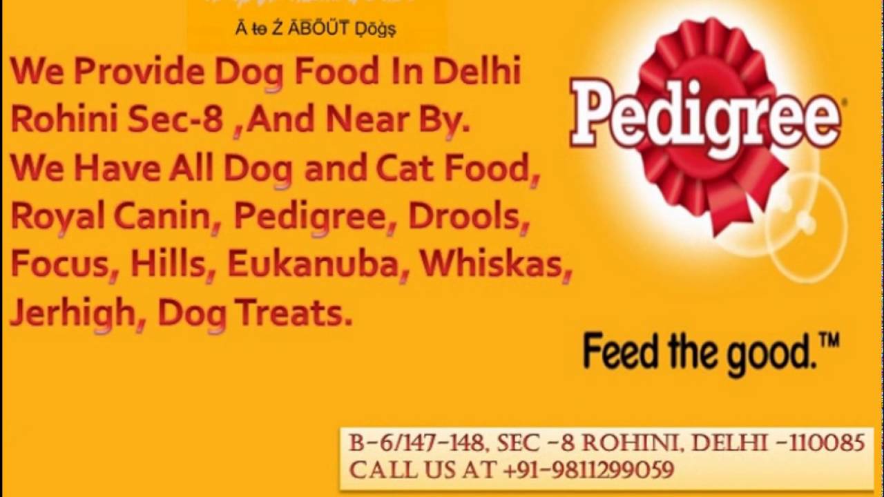 Dog Food Shop in Delhi Pitampura