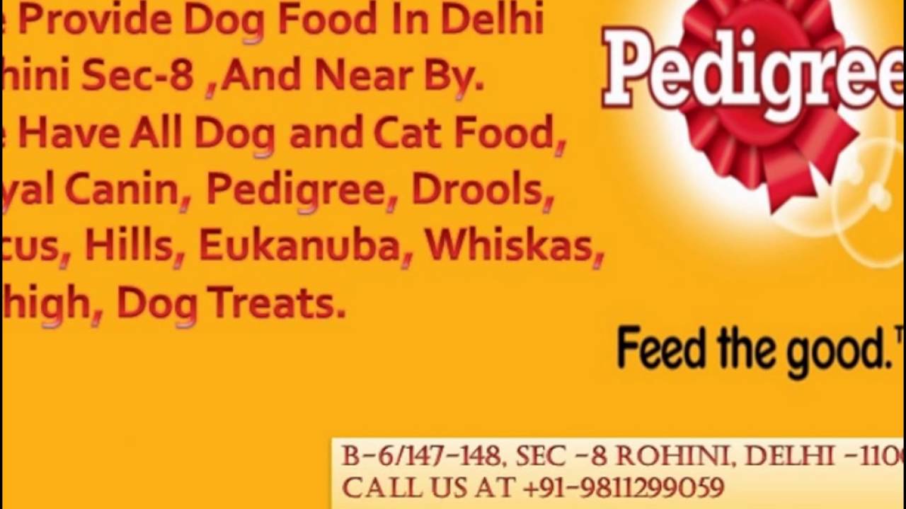 Dog Food Shop in Delhi Rohini