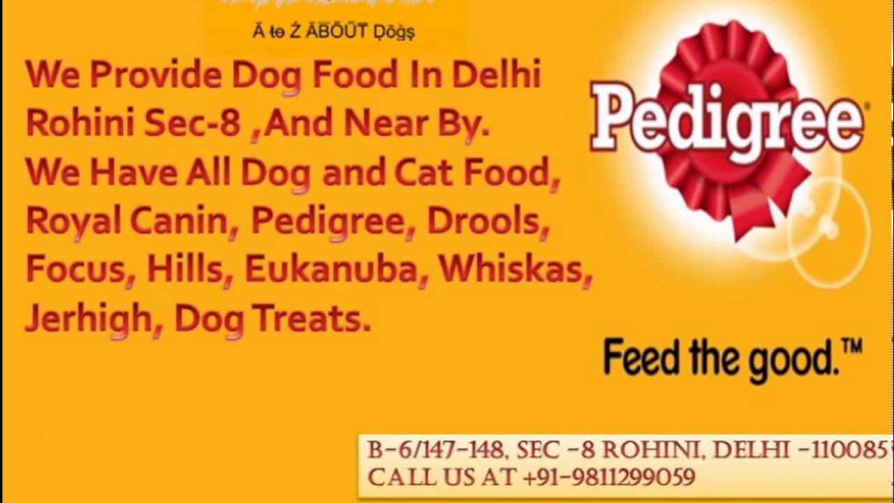 Dog Food Shop in North Delhi