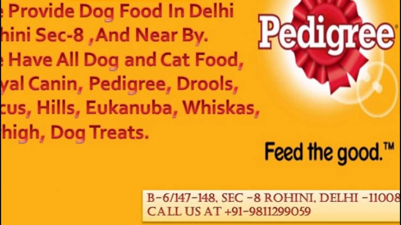 Dog Food Shop in Rohini Delhi