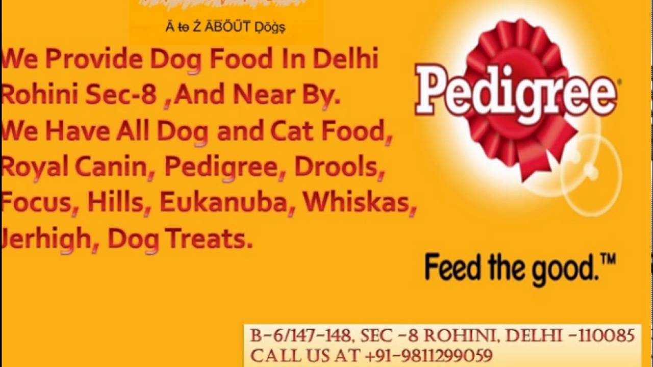 Dog Food Shop in Rohini