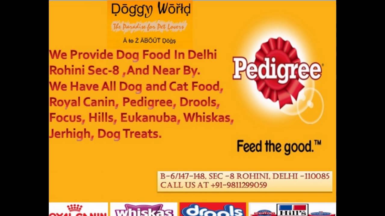 Dog Food Shop