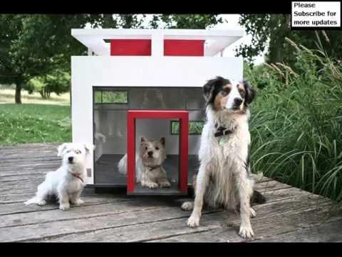 Dog House Designs Set Of Useful Picture Ideas | Dog House Designs Dogs
