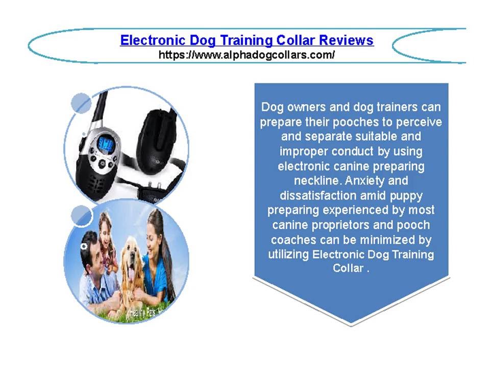 Electronic Dog Training Collar Reviews