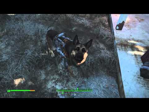 FALLOUT 4  How to equip dogmeat with dog armor/Clothes!