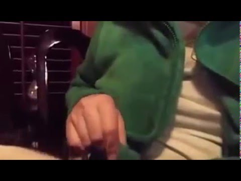 Frisky Dog Takes Off Woman’s Clothes