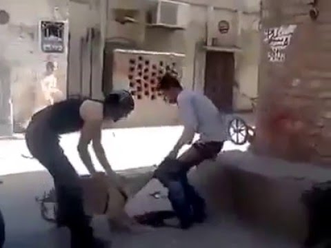 Funny Dog catch his clothes