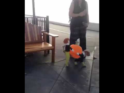 Funny dog clothes