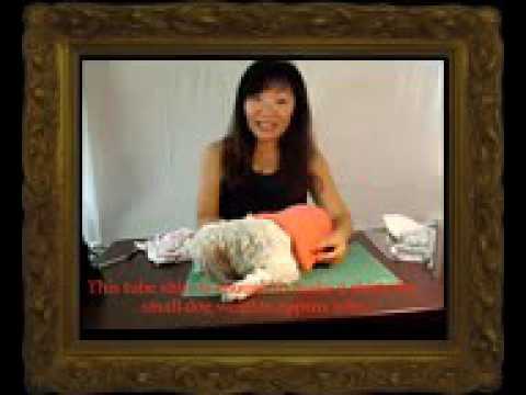 ✪ Funny Dogs ✪✂ DIY Dog Clothes Make Easy 5min Pattern Free Spaghetti Shirt for Dogs ♡ 2