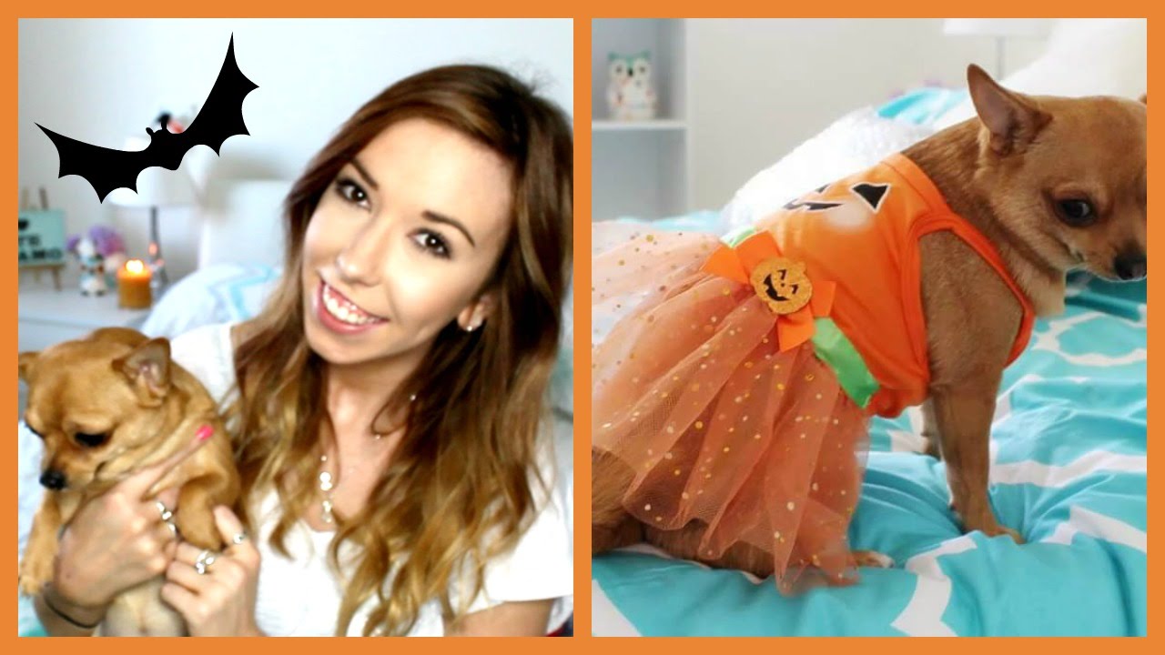 Halloween Dog Clothing Haul ♡ Honey