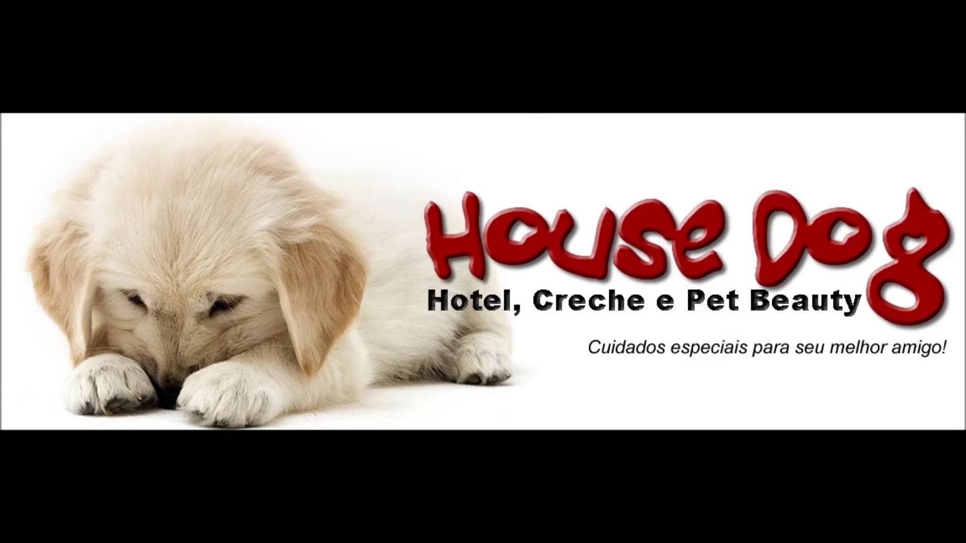 House Dog Hotel e Creche  – Dia de Bincadeira