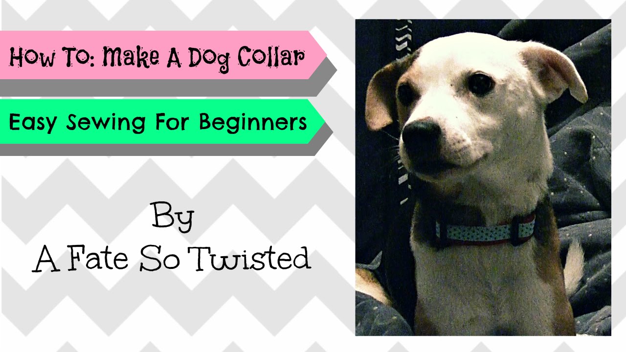 How To: DOG COLLAR (Sewing For Beginners)