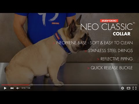 How to fit your Dog’s Collar – EzyDog Neo Classic Dog Collar