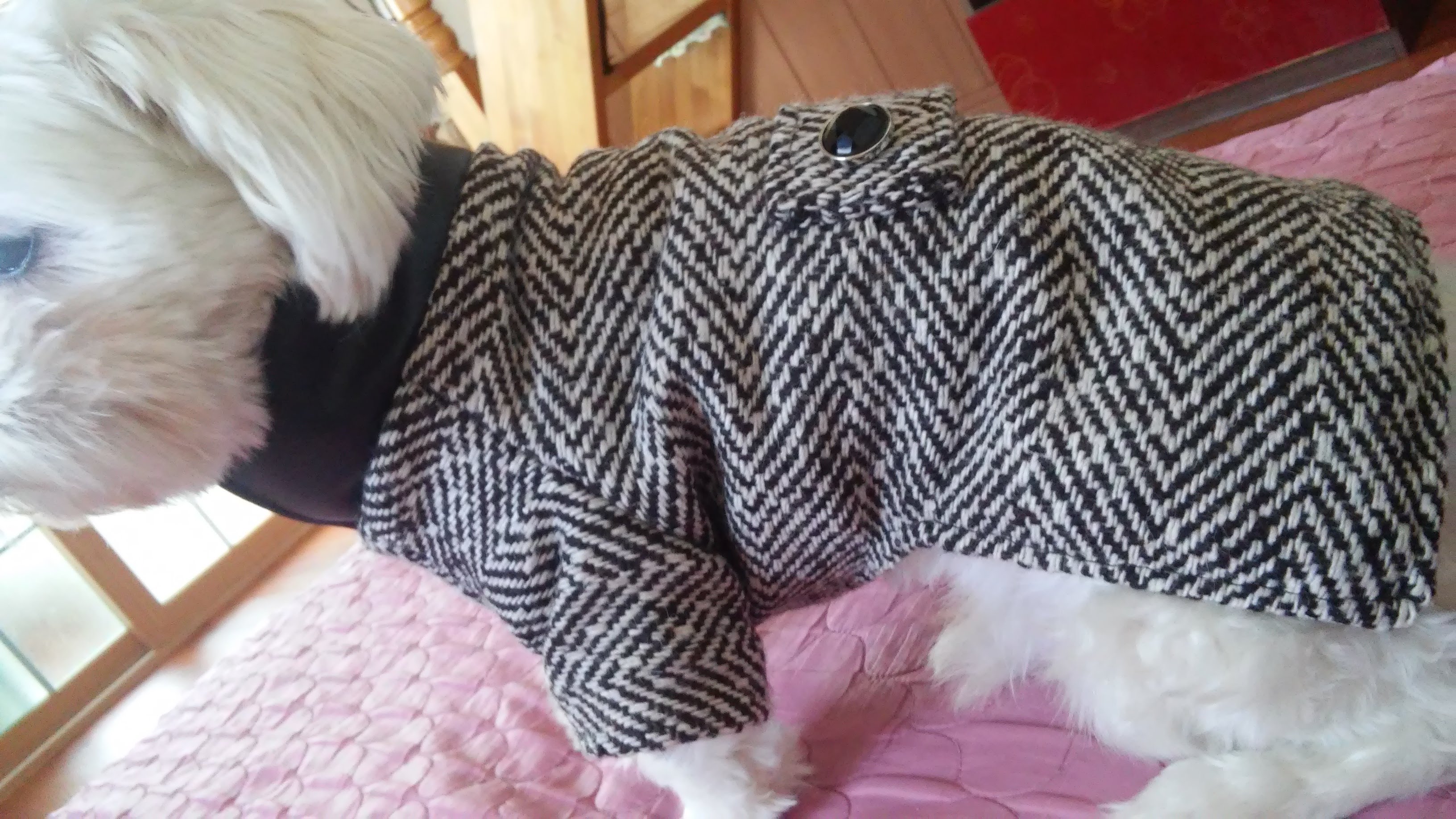 미싱없이 럭셔리 강아지 코트 만들기(How to make a Dog Clothes)