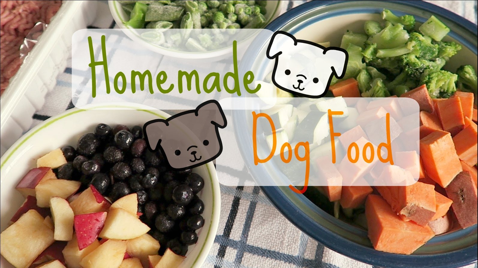HOW TO MAKE HOMEMADE DOG FOOD | Turkey Slow Cooker Recipe