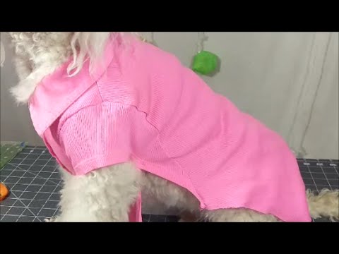 How to make Pink Polo Dog Shirt from used clothes Without Pattern