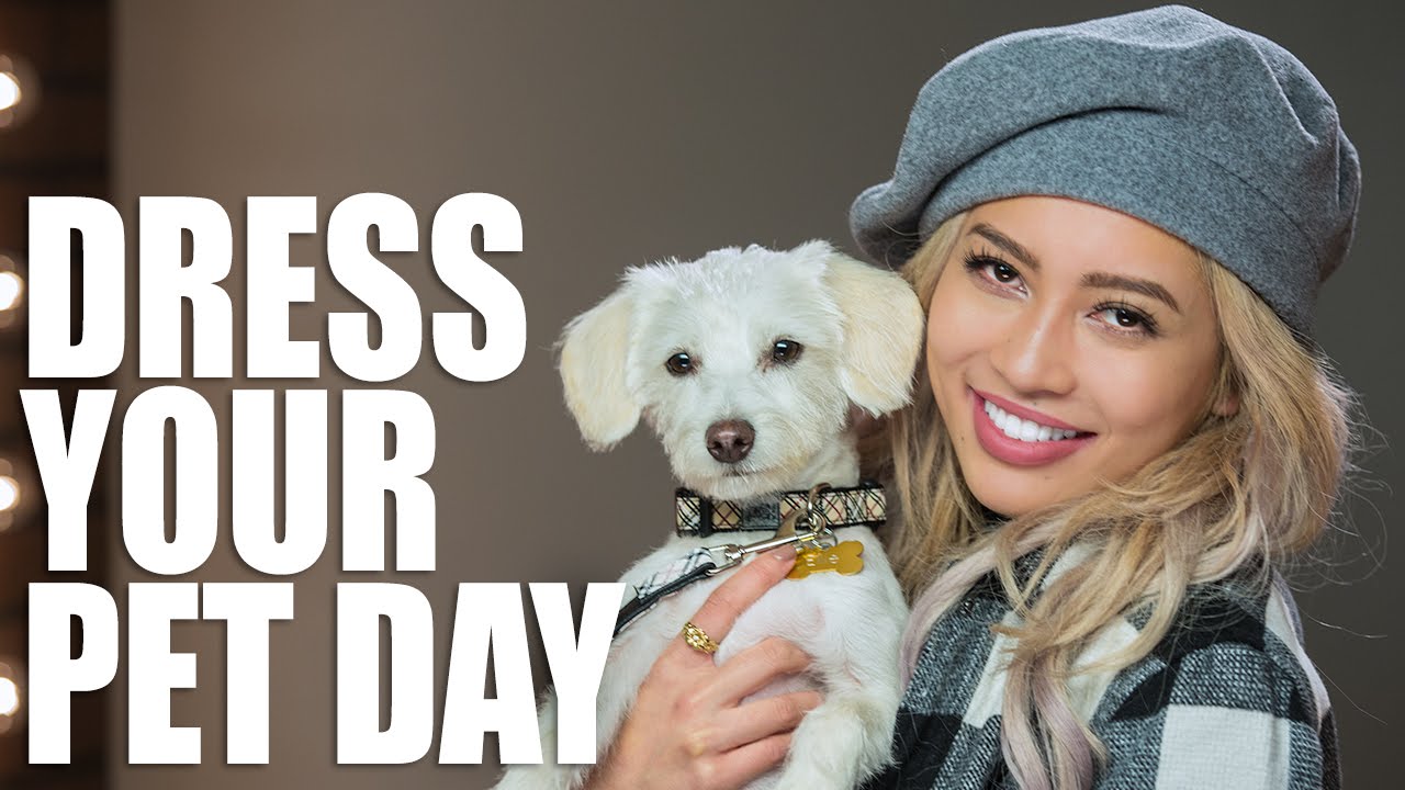How To Mix Prints & Textures | Cute Outfits + Dog Clothes | The Fashion Statement w/ Amy Pham