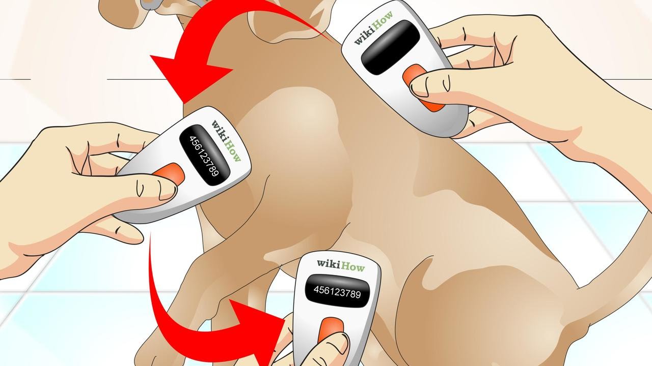 How to Tell if a Dog Is Microchipped
