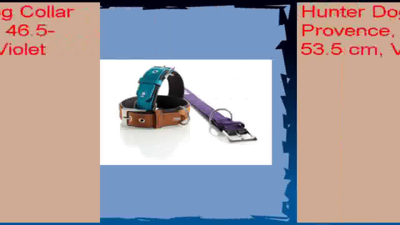 Hunter Dog Collar Provence 465535 cm Violet